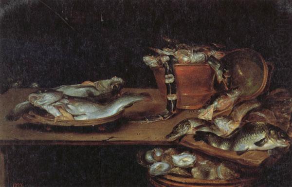 Alexander Adriaenssen Still Life with Fish,Oysters,and a Cat china oil painting image